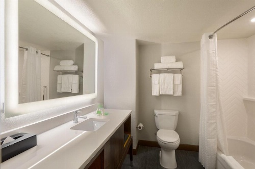 Holiday Inn & Suites Orlando SW - Celebration Area image 44